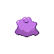 Ditto