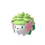 Shaymin