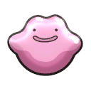 Ditto