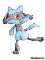 Zeichenkurs Riolu - Schritt 8