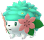 Shaymin