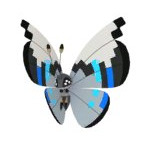 Vivillon Monsunmuster