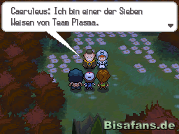 Der Showdown im Ewigenwald mit Caeruleus