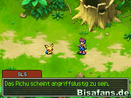 Unser erstes Treffen mit Pichu