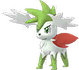 Shaymin Zenitform