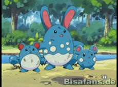 Screenshot von Azumarill