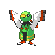 Xatu ♀