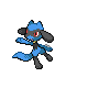 Riolu