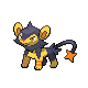 Luxio ♀