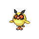 Hoothoot