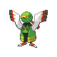 Xatu ♀