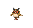 Hoothoot