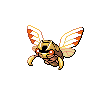 Ninjask