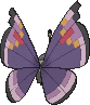 Vivillon Prunkmuster