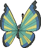 Vivillon Savannenmuster