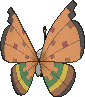 Vivillon Dürremuster