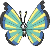 Vivillon Savannenmuster