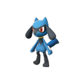 Riolu