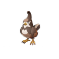 Staravia