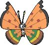 Vivillon Dürremuster