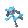 Riolu