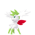 Shaymin Zenitform