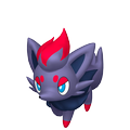 Zorua