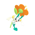 Floette Orangeblütler