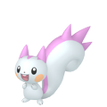 Pachirisu ♀