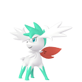 Shaymin Zenitform