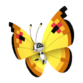 Vivillon Kontinentalmuster