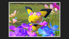 Screenshot von Pichu (Strohkopf)