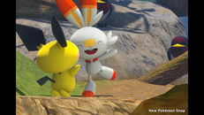 Screenshot von Pichu (Nebtun)