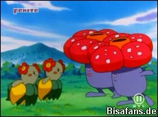 Screenshot von Giflor