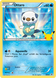 Kollektion zum 25. Jahrestag BW03 Ottaro