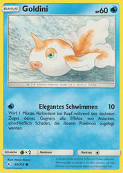 Kräfte im Einklang 48/214 Goldini