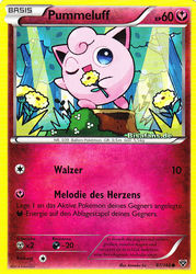 XY-Basisset 87/146 Pummeluff