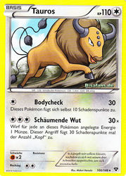 XY-Basisset 100/146 Tauros