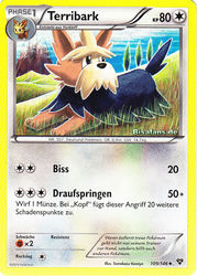 XY-Basisset 109/146 Terribark