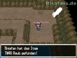 Nach dem Sieg über Team Plasma kann man hier die TM46 Raub finden