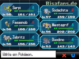 Mein aktuelles Team