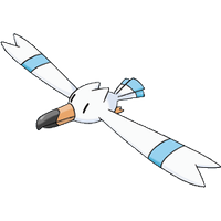 Wingull