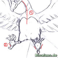 Zeichenkurs Ho-Oh - Schritt 11
