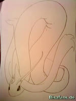 Zeichenkurs Milotic - Schritt 7
