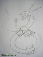 Zeichenkurs Rayquaza - Schritt 11