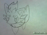Zeichenkurs Zorua - Schritt 5