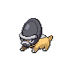 Schilterus Schilterus