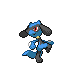 Riolu Riolu