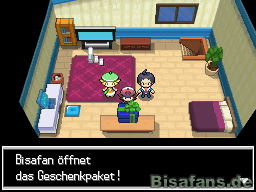 Öffne das Paket&nbsp;…