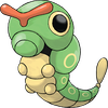 Raupy